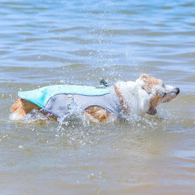 Harnais Pour Chien – Image 2